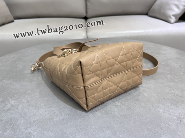 Dior专柜2025新款迪奥高仿原单Toujours竖版手袋牛皮休闲手提女包 djfk1300